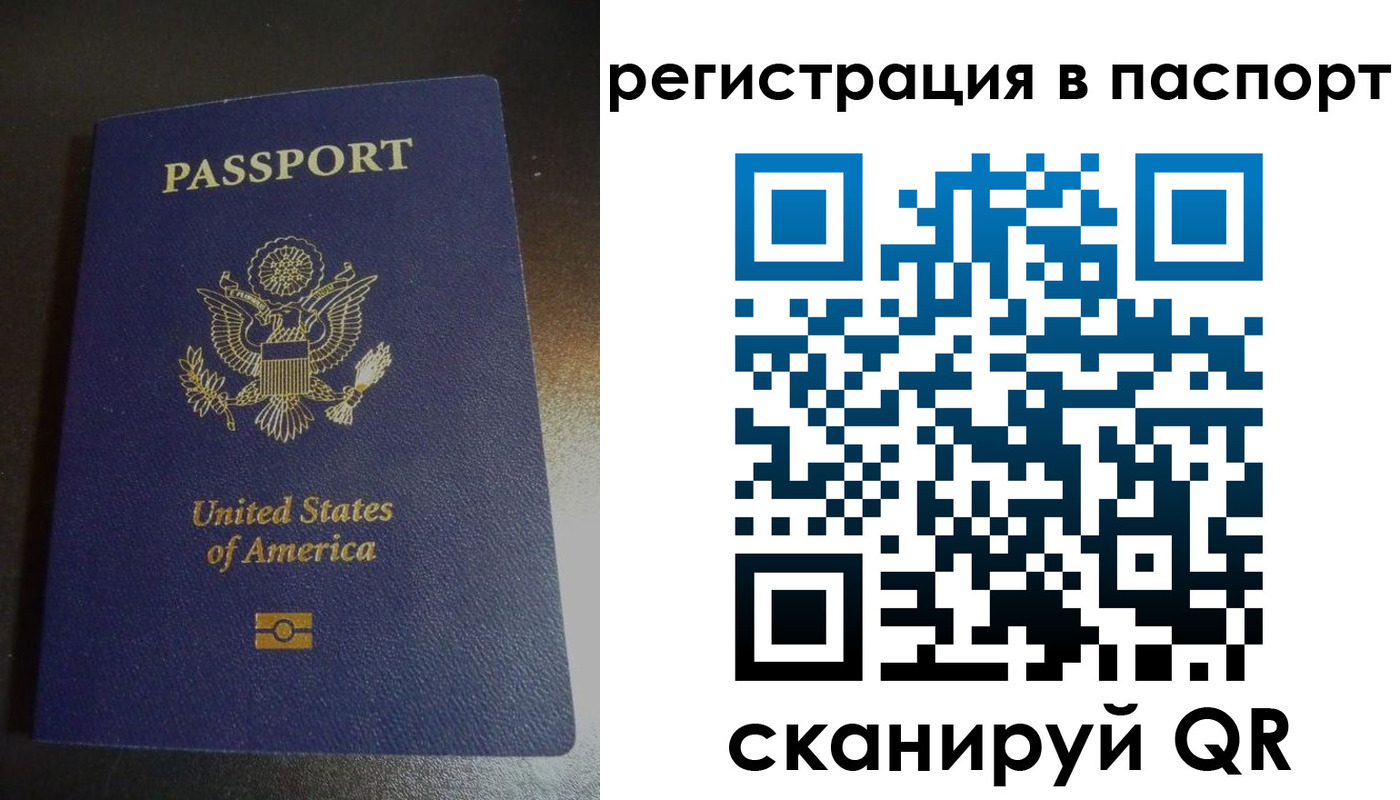 прописка для школы в Братске